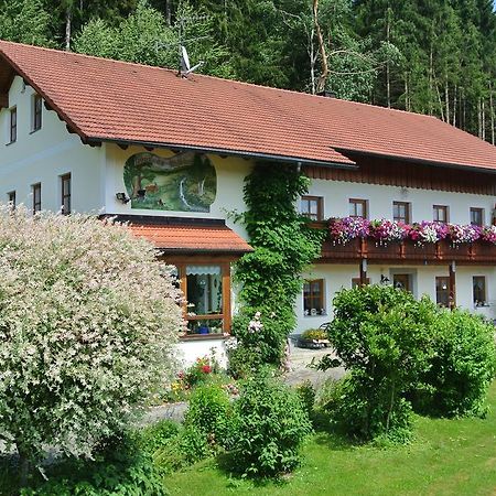 Haus Am Waldrand - Ferienwohnung Augustin กราเฟอเนา ภายนอก รูปภาพ